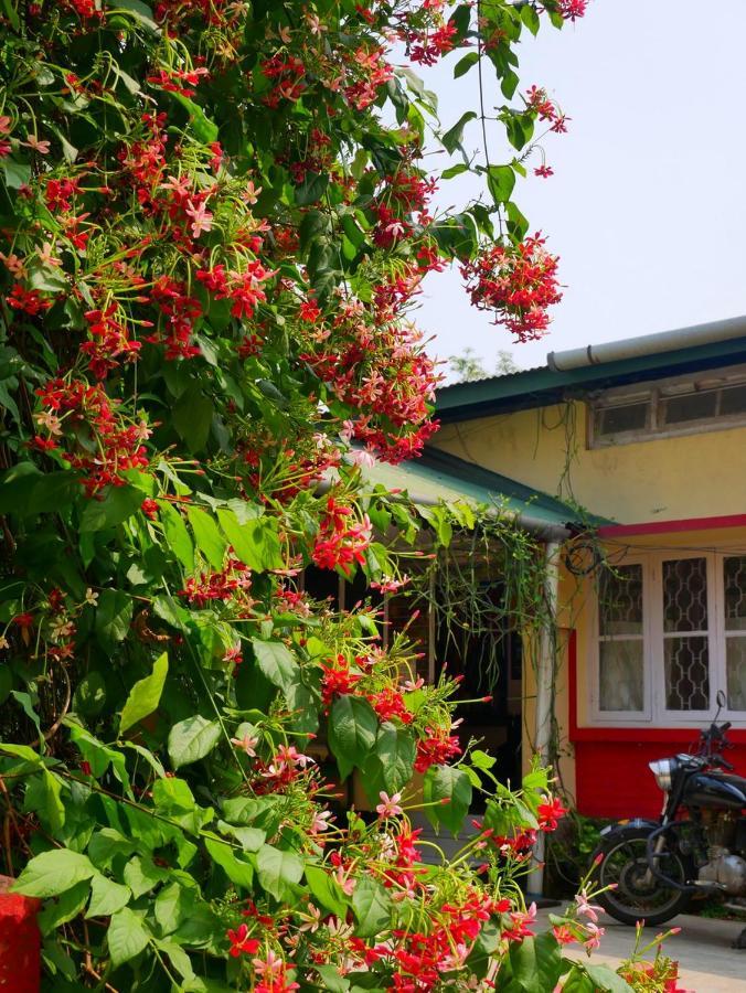 גווהטי Gibbon Backpackers Hostel מראה חיצוני תמונה
