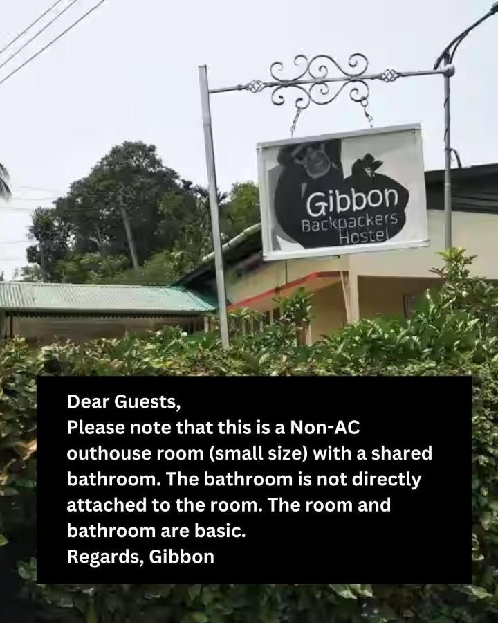 גווהטי Gibbon Backpackers Hostel מראה חיצוני תמונה