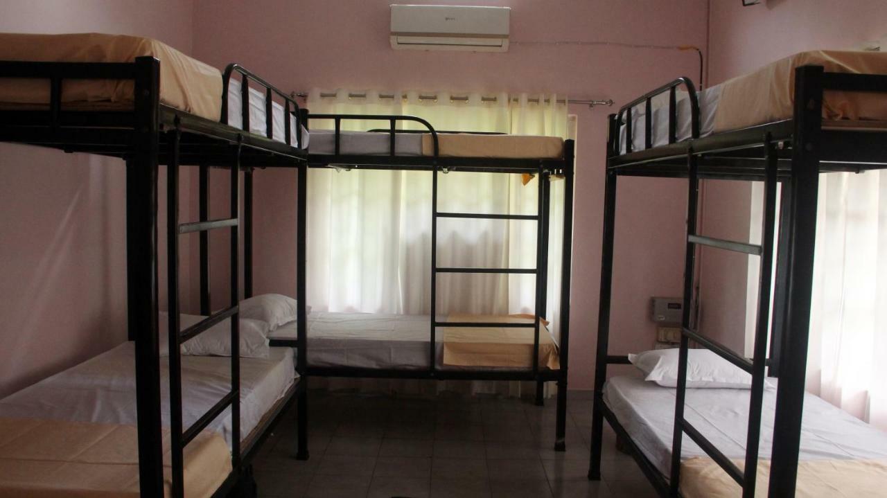 גווהטי Gibbon Backpackers Hostel מראה חיצוני תמונה