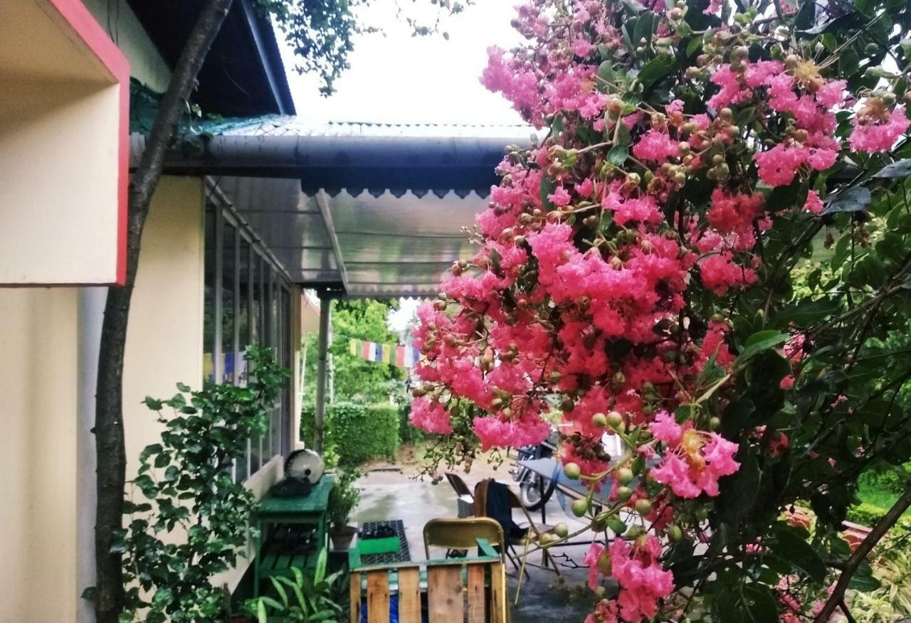 גווהטי Gibbon Backpackers Hostel מראה חיצוני תמונה
